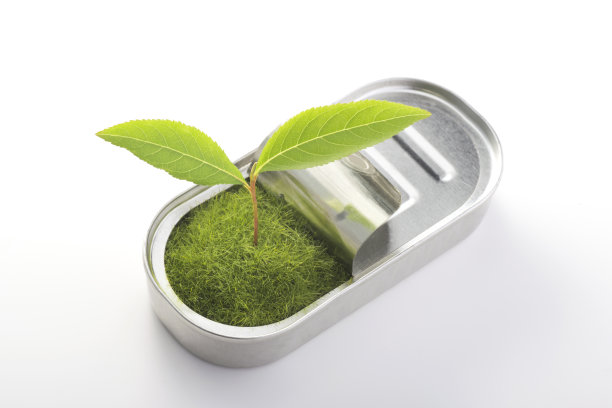 从罐头里长出来的嫩叶图片下载