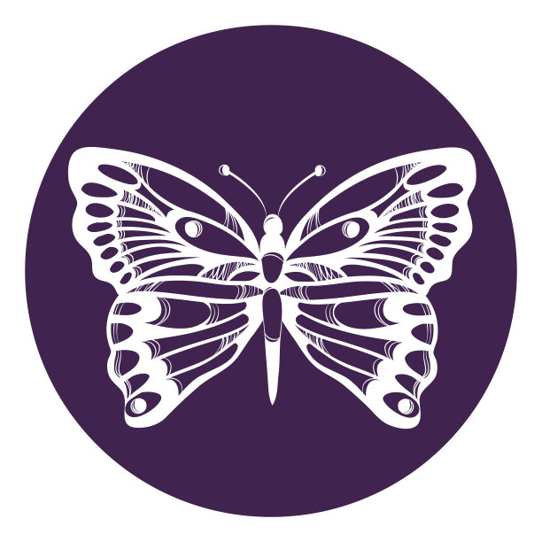 美丽的蝴蝶。图片下载