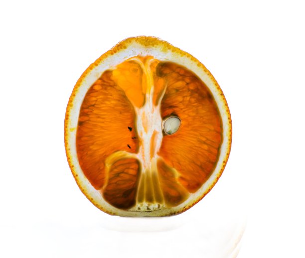 切片内部视图橙色图片下载