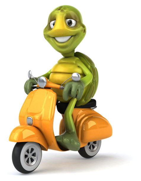 有趣的海龟图片下载