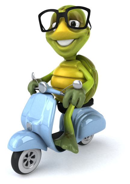 有趣的海龟图片下载