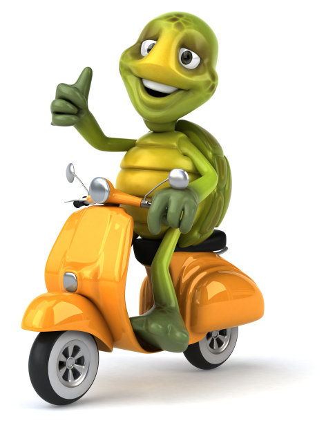 有趣的海龟图片下载