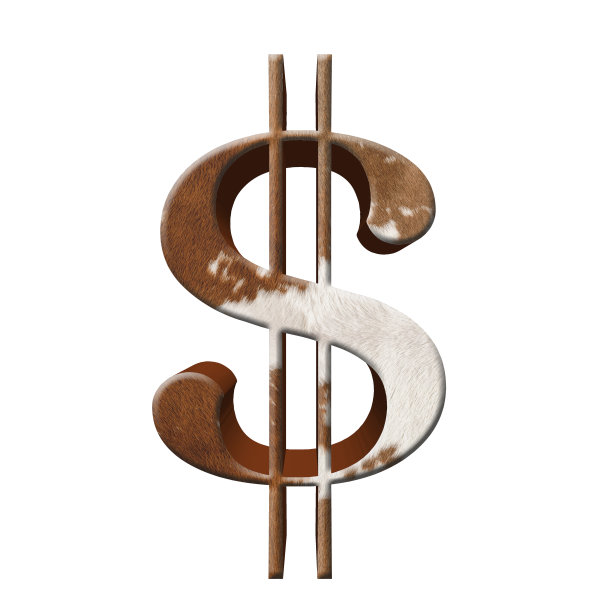 美元符号，上面有红斑纹牛的图案，与白色背景相映成辉图片下载