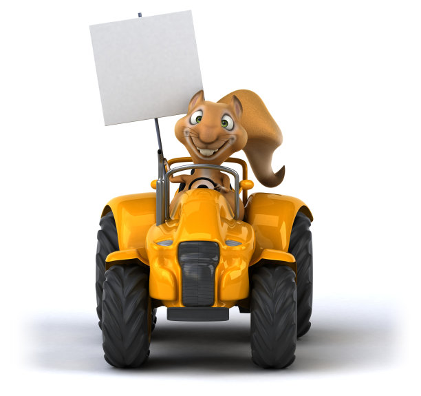 有趣的松鼠图片下载