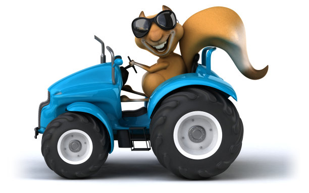 有趣的松鼠图片下载