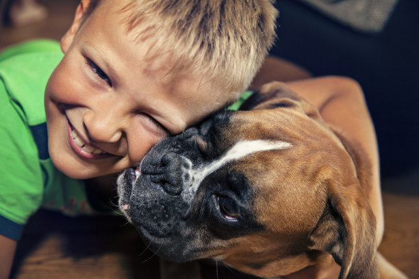 可爱的男孩拥抱小狗拳击手图片下载