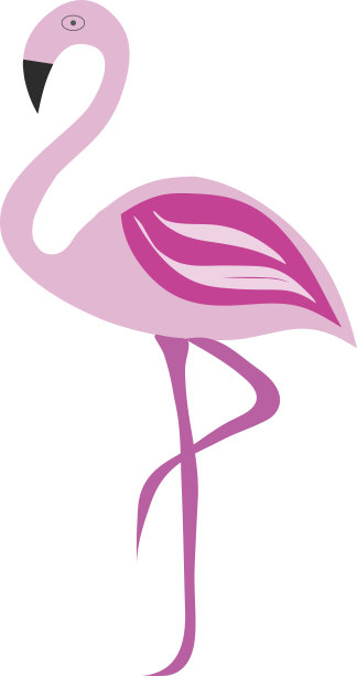 粉色火烈鸟矢量插图图片下载
