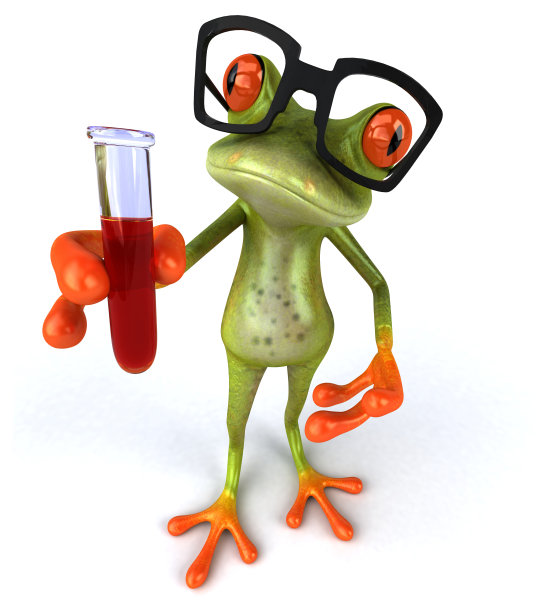 有趣的青蛙图片下载