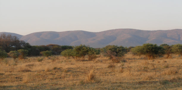 系列-全景非洲@ XpX图片下载