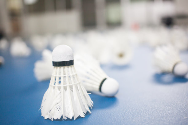 在羽毛球场上打羽毛球图片下载