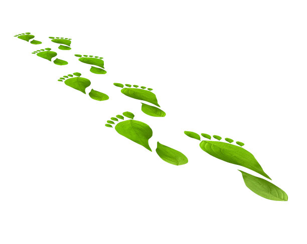 绿叶脚下的台阶孤立在白色的背景上。环境的概念。图片下载