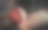 球场照片素材ID：165446284