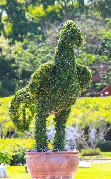 鸡形装饰树图片下载