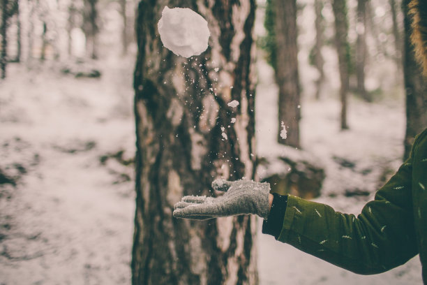 用手玩雪球。雪球背景。冬季奥运会。雪球飞的特写。森林里的冬天。雪球。图片下载