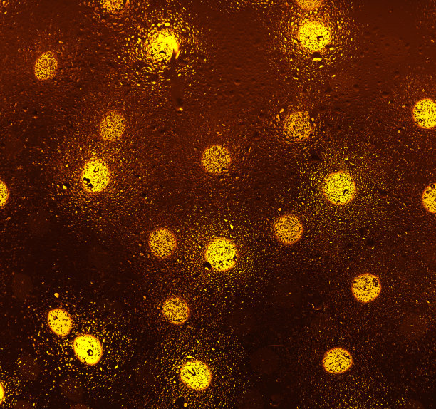 水滴。图片下载