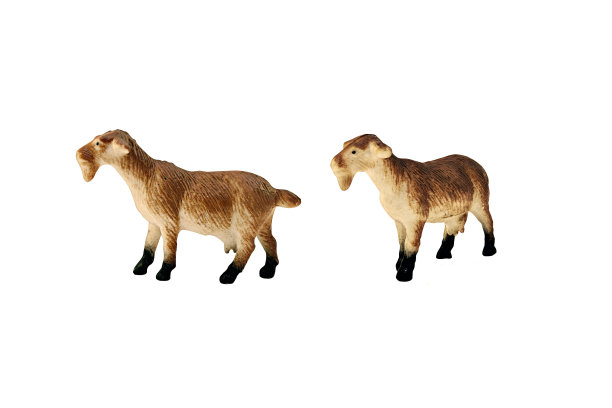 孤立的山羊的玩具。图片下载