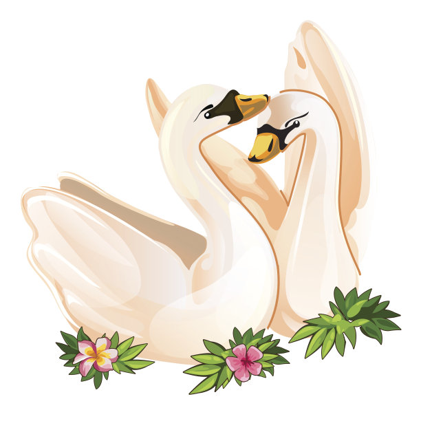 两只相爱的天鹅，温柔的矢量明信片素材图片