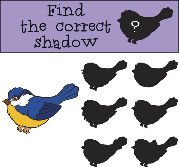儿童游戏:找到正确的影子。小可爱的山雀。图片下载