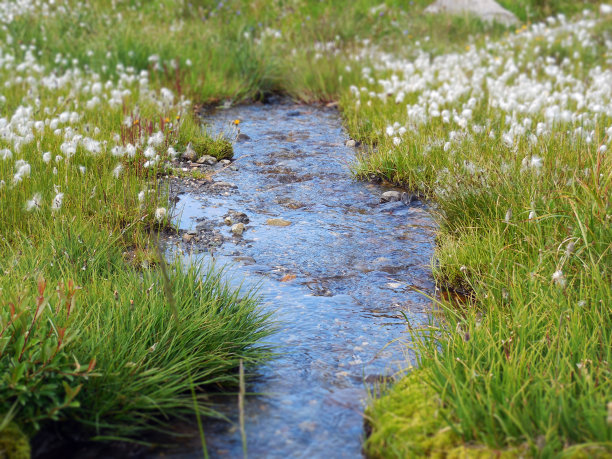 安静的河流，山上长满了草和棉花图片下载