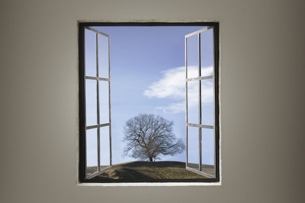 查看槽打开窗户。图片下载