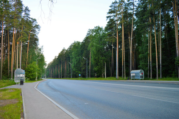 森林里的公交车站图片下载