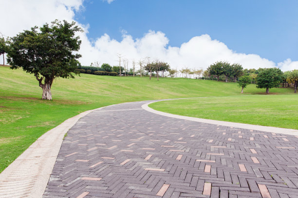 途径和草地图片下载