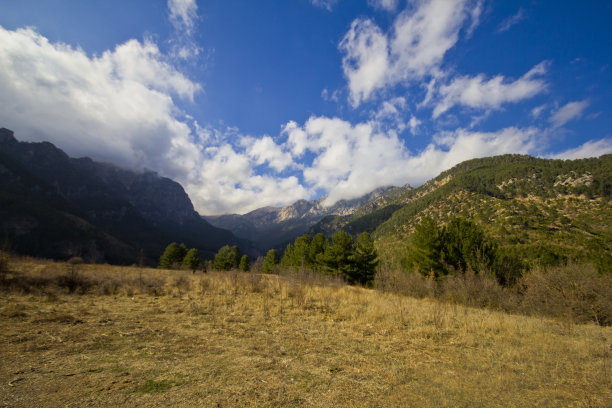 秋天的痕迹图片下载