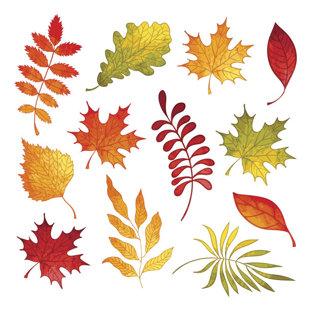 秋天，水彩的叶子图片下载