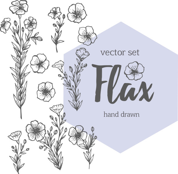 亚麻插图图片下载