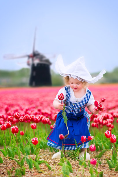 穿着荷兰民族服装的小女孩在风车旁收集郁金香图片下载