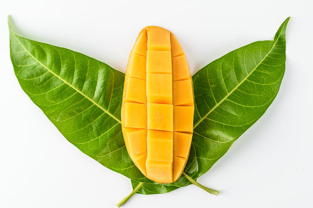 芒果顶上的叶子顶视图孤立图片下载