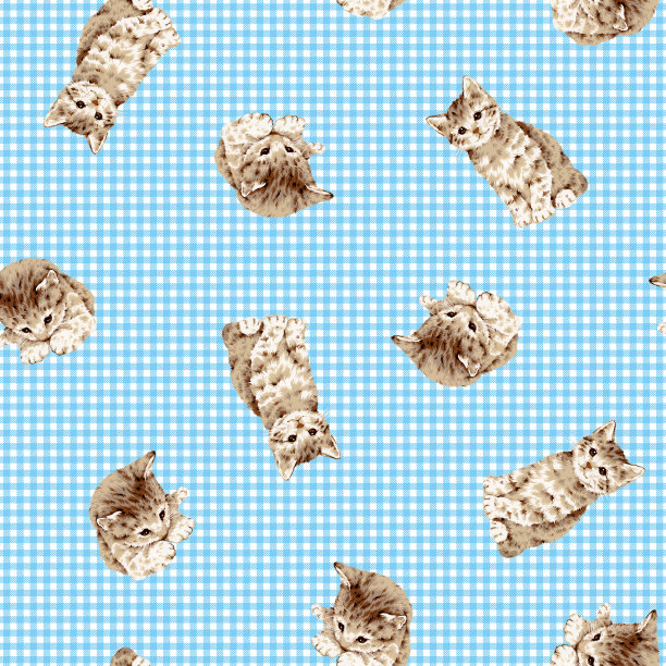 漂亮的猫模式图片下载