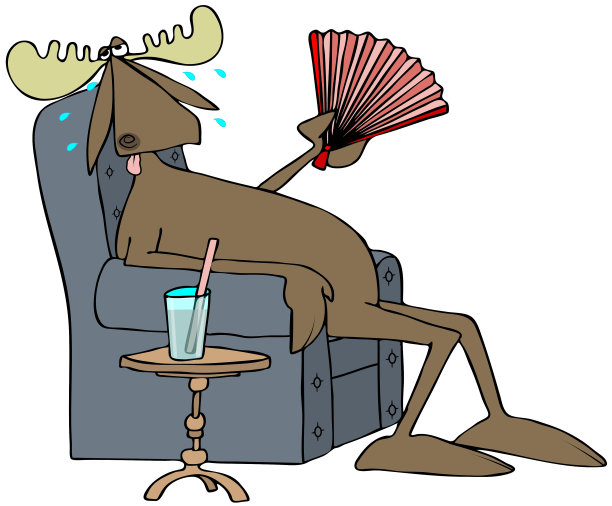 又热又汗的公驼鹿图片下载