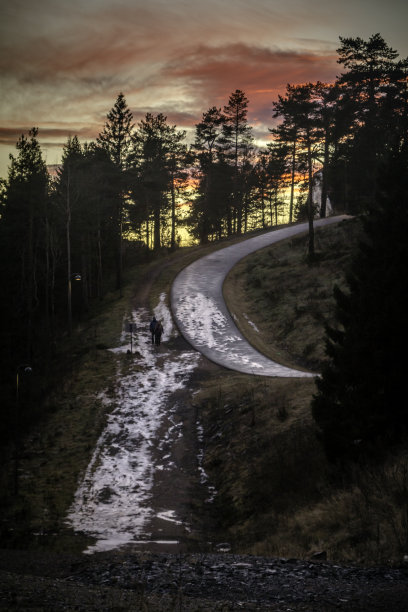 奥斯陆的日落森林图片下载