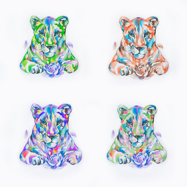 四色狮子与荷花素描不是白色的背景。素材图片