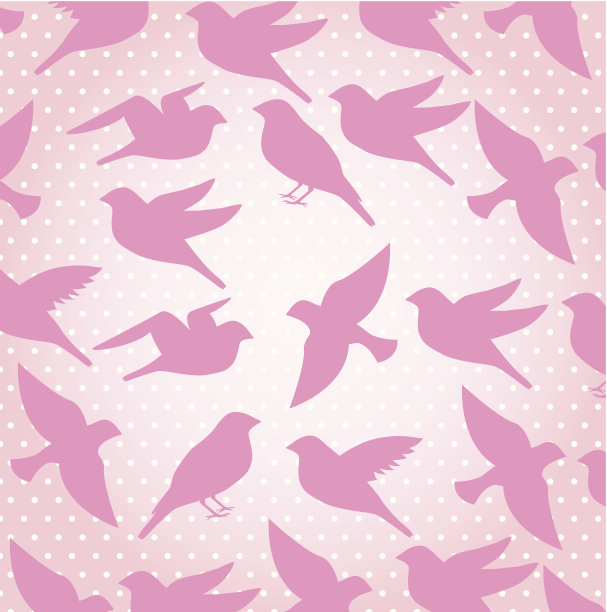 鸟类的模式图片下载