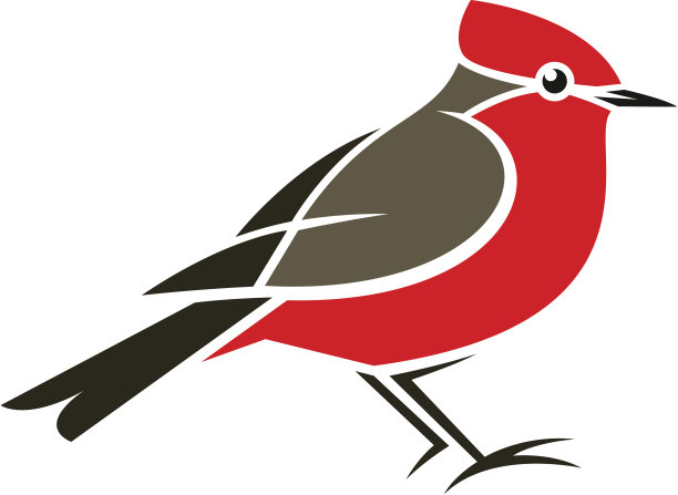 捕蝇草图片下载