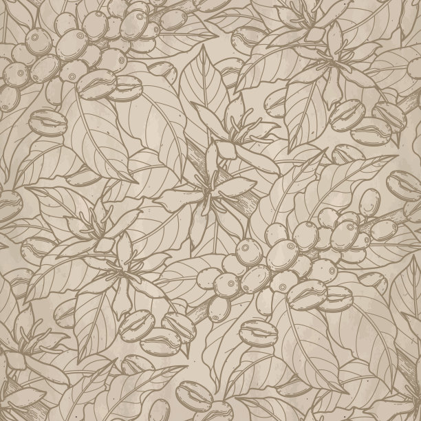 咖啡图形模式图片下载