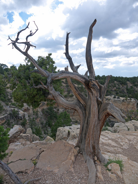 大峡谷图片下载