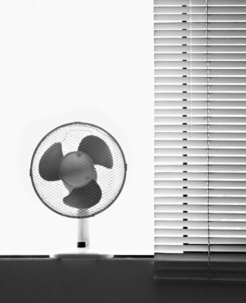 免费的照片图片下载