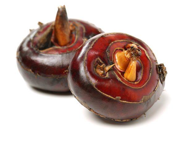 白底上的荸荠图片下载