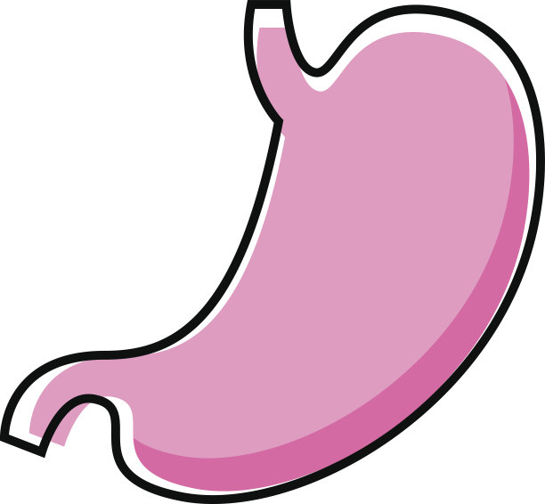 平坦的矢量人的胃图标图片下载