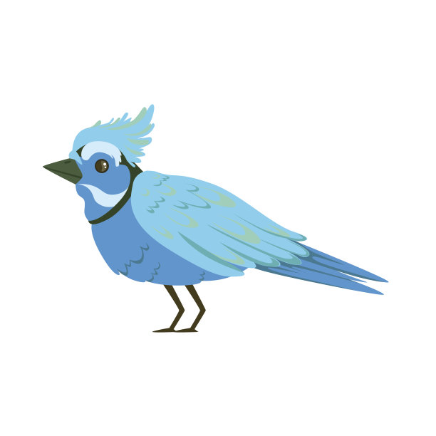 美丽的蓝鸟彩色矢量插图图片下载