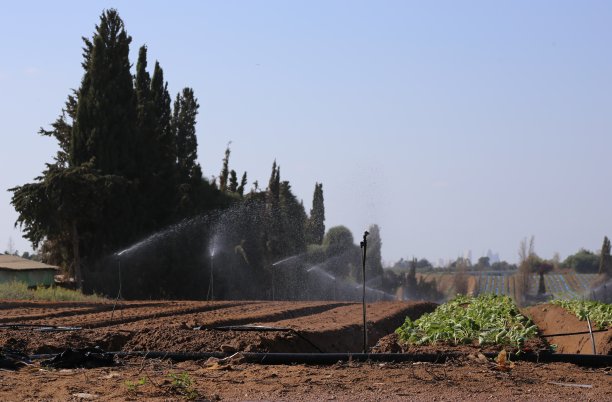水洒水装置图片下载
