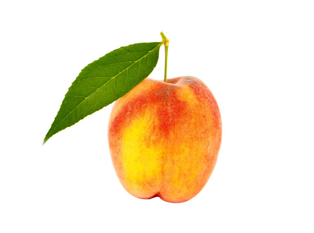 白底上的桃子图片下载