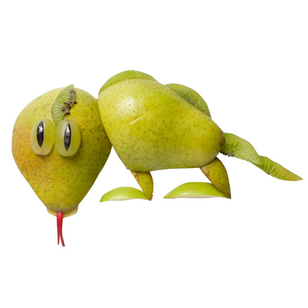 梨做的蜥蜴图片下载