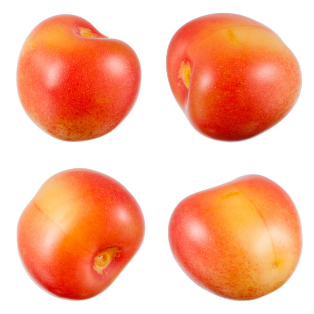 白色上分离的樱桃。收集。剪切路径。图片下载