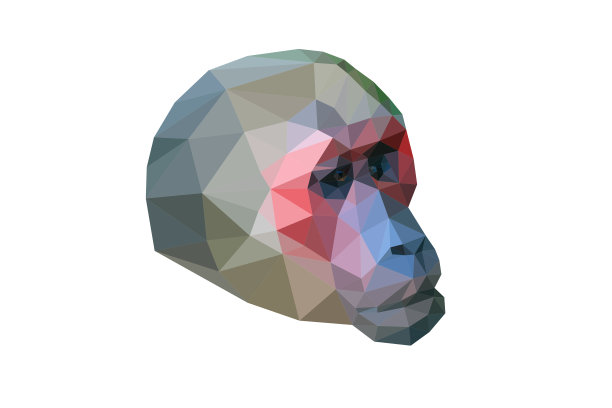 stump-tailed猴子图片下载