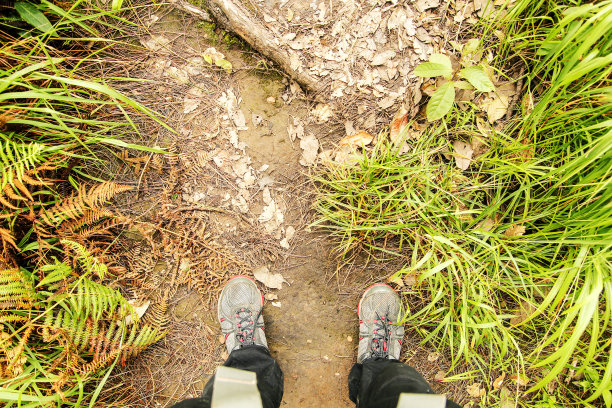 俯视地面上的冒险漫步在山公园森林图片下载