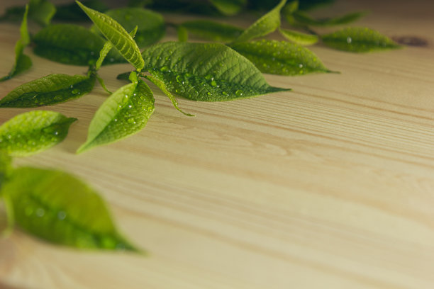 木制背景上的绿色嫩叶。图片下载